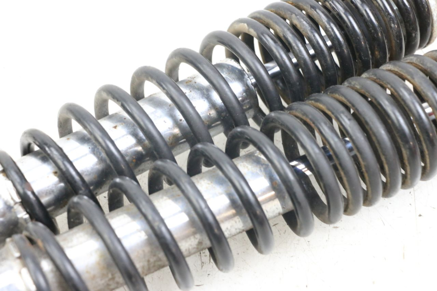 photo de SET ACHTERSCHOKDEMPERS DAELIM S3 125 (2010 - 2017) - Staat van het oppervlak