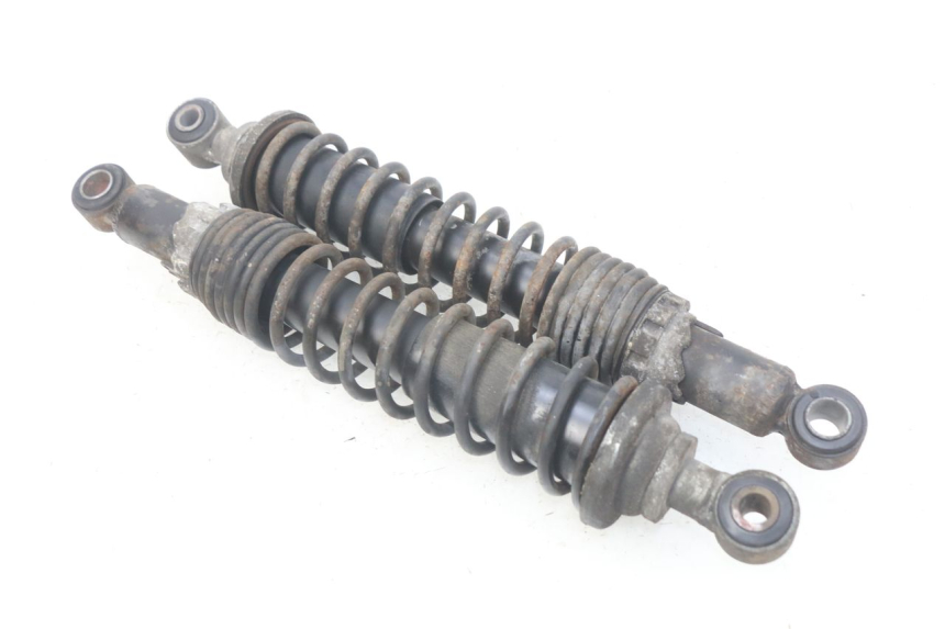 photo de SET ACHTERSCHOKDEMPERS PIAGGIO X9 EVOLUTION 125 (2003 - 2007) - Hoofdaanzicht