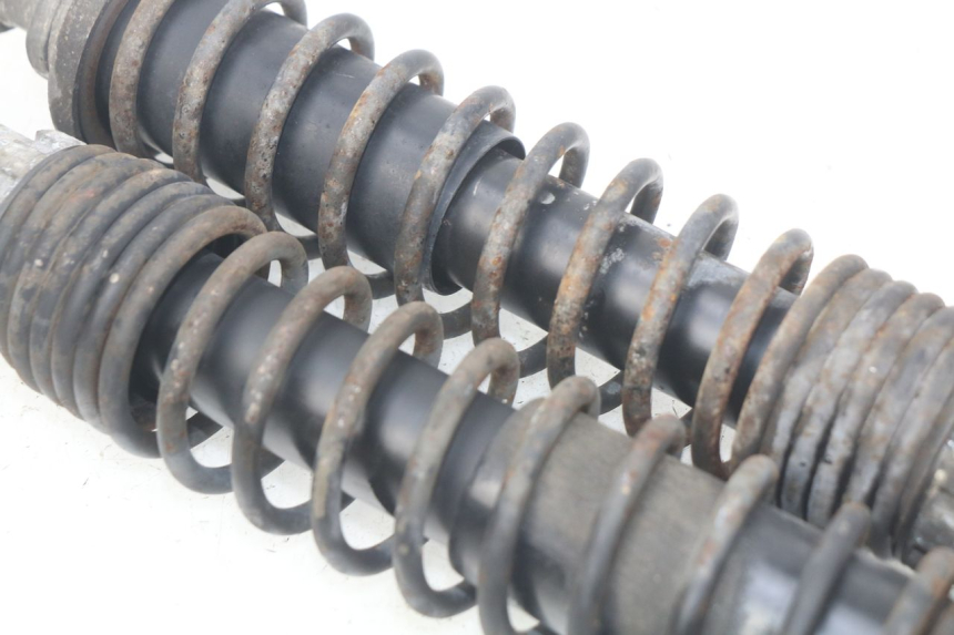 photo de SET ACHTERSCHOKDEMPERS PIAGGIO X9 EVOLUTION 125 (2003 - 2007) - Overzicht