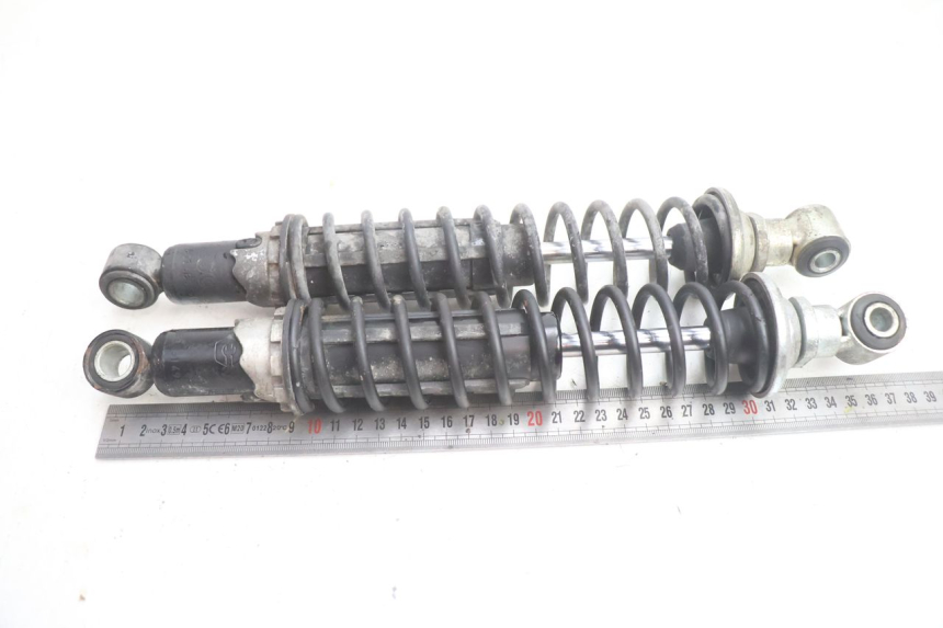 photo de SET ACHTERSCHOKDEMPERS PIAGGIO X9 EVOLUTION 125 (2003 - 2007) - Focus op structuur