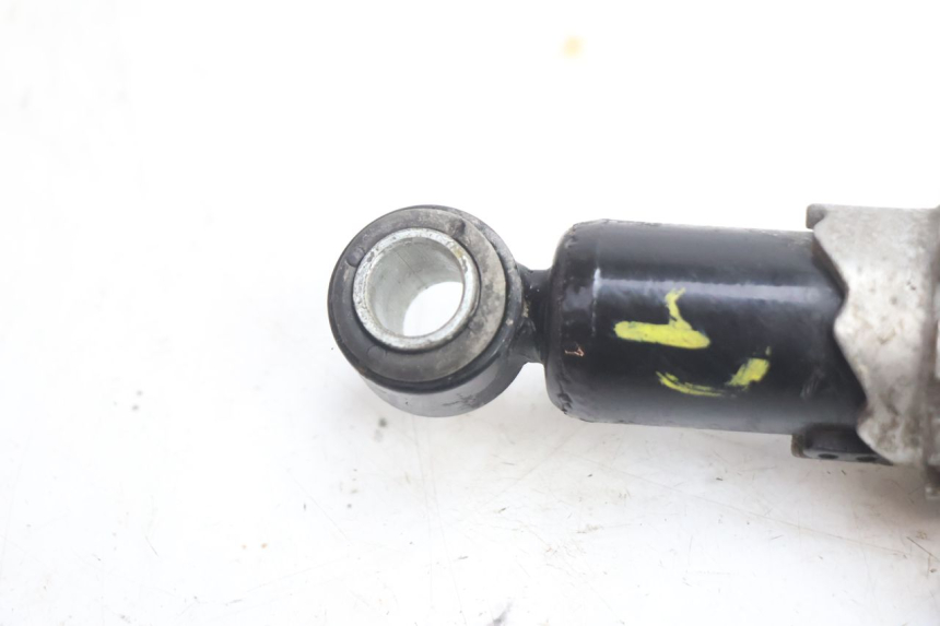 photo de SET ACHTERSCHOKDEMPERS PIAGGIO X9 EVOLUTION 125 (2003 - 2007) - Overzicht