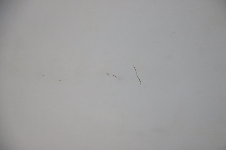 photo de WINDSCHERM HONDA FES S-WING SWING ABS 125 (2007 - 2015) - Detailaanzicht