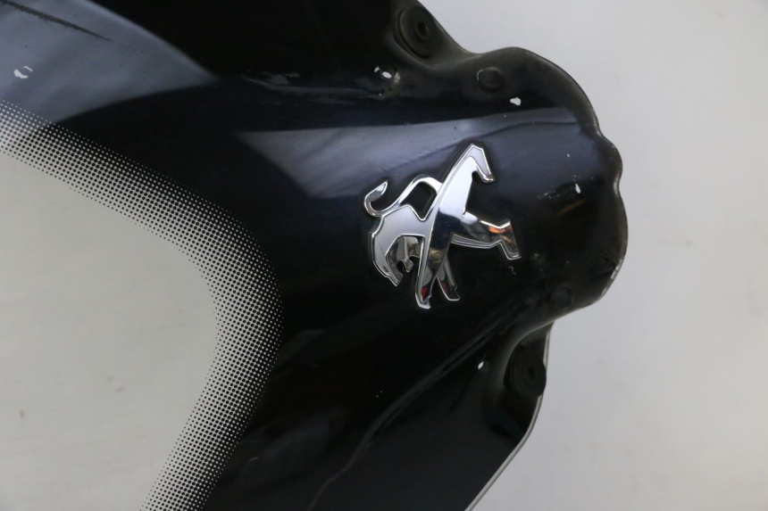 photo de WINDSCHERM PEUGEOT SATELIS 125 (2010 - 2012) - Focus op structuur