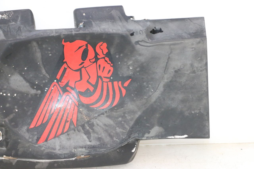 photo de ACHTERWIELDOORGANG HONDA CB F HORNET 600 (2005 - 2006) - Detailaanzicht
