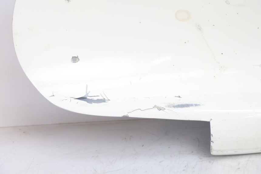 photo de ACHTERWIELDOORGANG YAMAHA YZF R GENESIS 750 (1993 - 1998) - Detail van het onderdeel