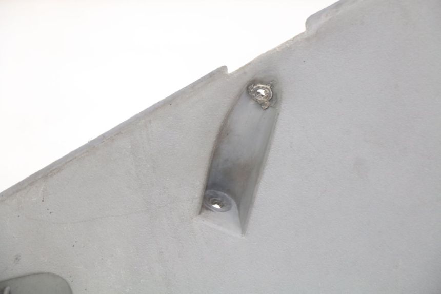 photo de VOORWIELBEHUIZING HONDA FES PANTHEON 2T 125 (1998 - 2002) - Detail van het onderdeel