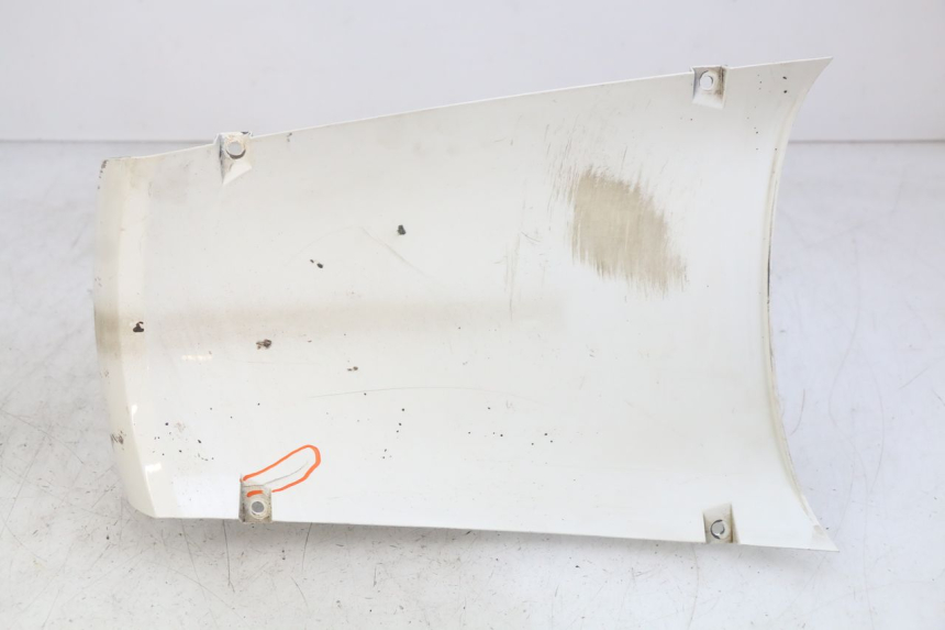 photo de VOORWIELBEHUIZING PEUGEOT TWEET 4T 50 (2018 - 2022) - Hoofdaanzicht