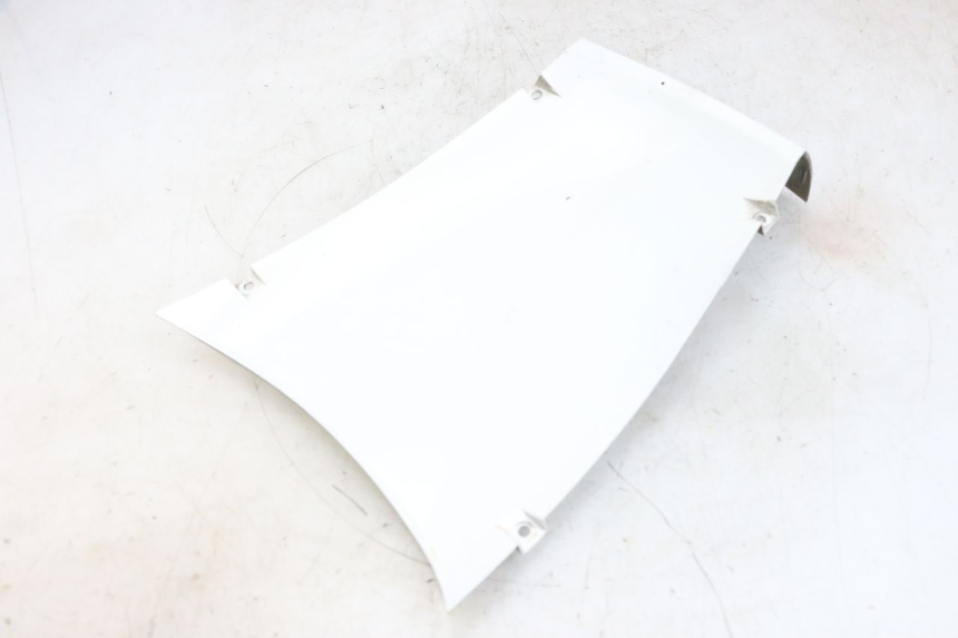 photo de VOORWIELBEHUIZING PEUGEOT TWEET PRO EFI 4T 50 (2021 - 2022) - Hoofdaanzicht