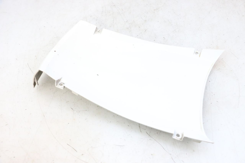 photo de VOORWIELBEHUIZING PEUGEOT TWEET PRO EFI 4T 50 (2021 - 2022) - Bevestigingspunten