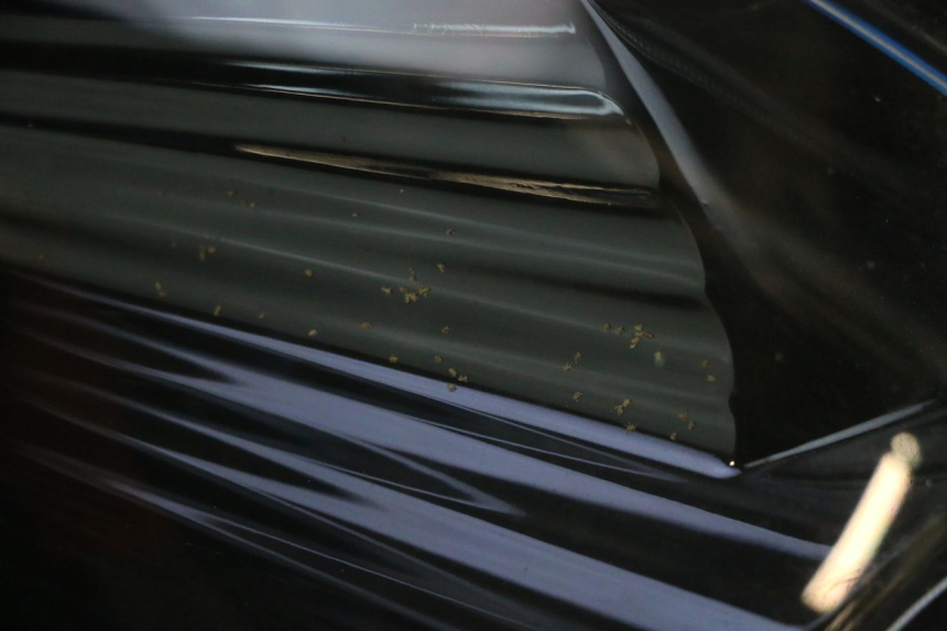 photo de VOORKOPLAMP PIAGGIO MP3 125 (2006 - 2014) - Zoom op kwaliteit