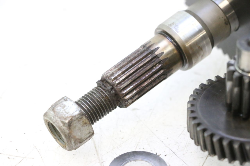 photo de AANDRIJFRIEM PEUGEOT LUDIX 50 (2005 - 2007) - Technische close-up