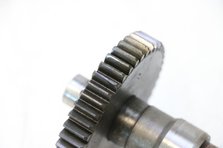 photo de AANDRIJFRIEM PEUGEOT LUDIX ONE 14P 50 (2004 - 2013) - Zoom op gebruiksstaat