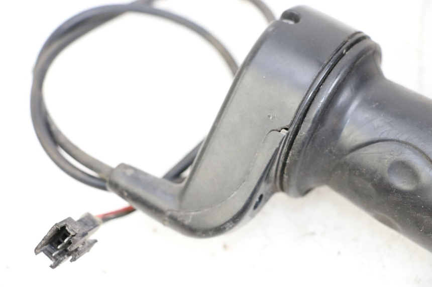 photo de GASHANDVAT DOLPHIN PYGMY 1 (2020 - 2024) - Technische close-up