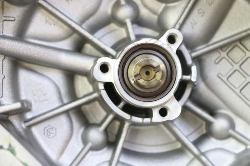 photo de WATERPOMP PIAGGIO MP3 RL 250 (2006 - 2010) - Technische close-up