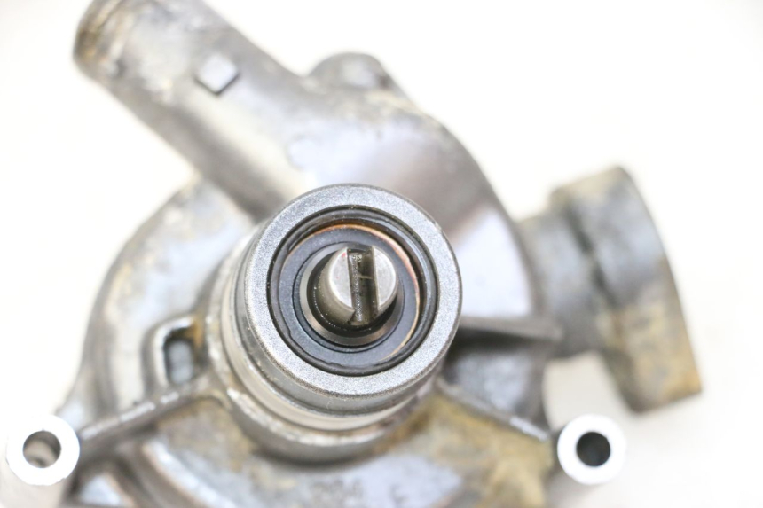 photo de WATERPOMP TRIUMPH SPRINT 900 (1995 - 1998) - Overzicht