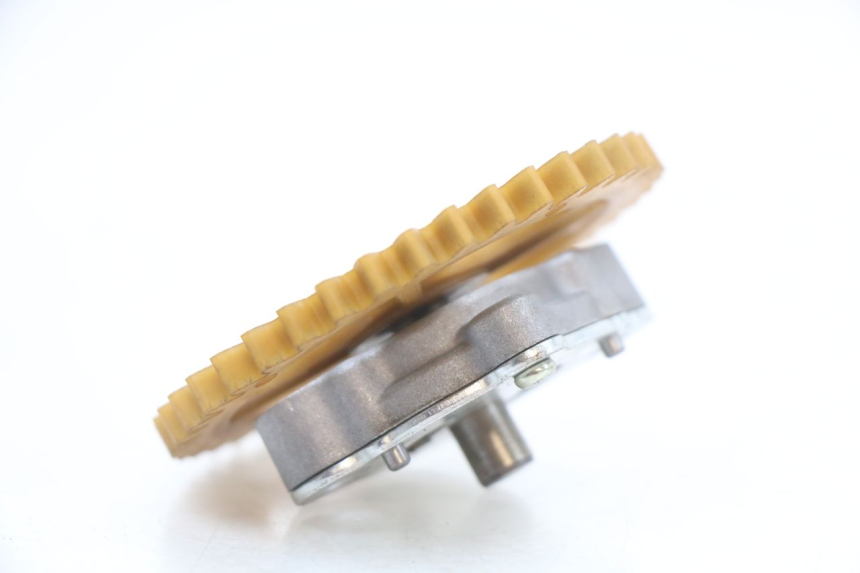 photo de OLIEPOMP LONGJIA EASY MAX 125 (2020 - 2024) - Zoom op gebruiksstaat