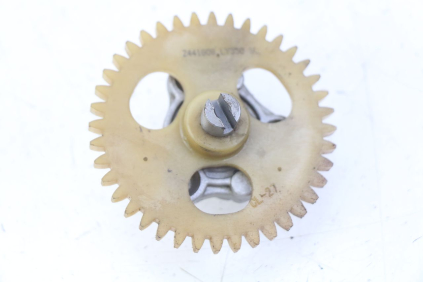 photo de OLIEPOMP SPY RACING F3 350 (2015 - 2022) - Hoofdaanzicht