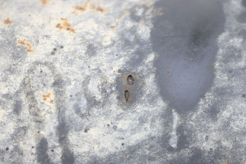 photo de UITLAATDEMPER TNT MOTOR ROMA 10' 4T 50 (2007 - 2018) - Andere kijkhoek