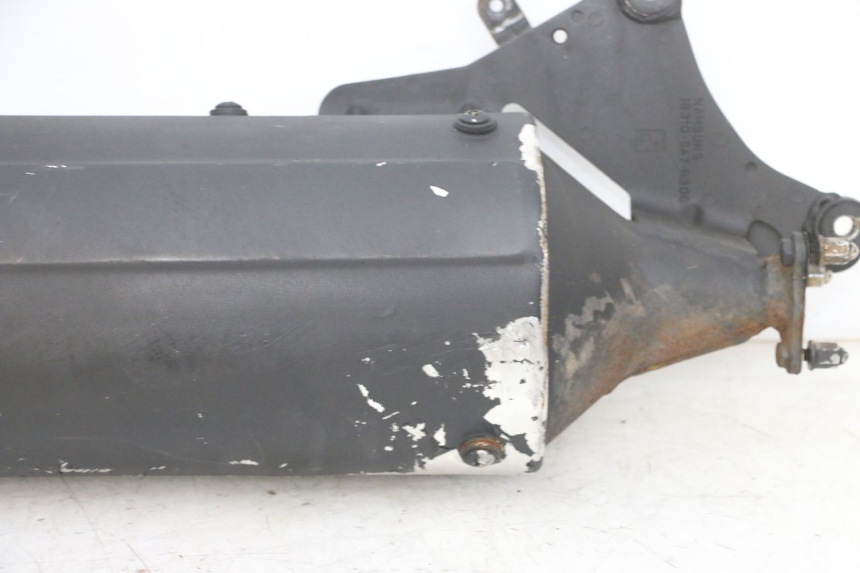 photo de UITLAATDEMPER DAELIM S1 125 (2007 - 2016) - Kenmerkende details