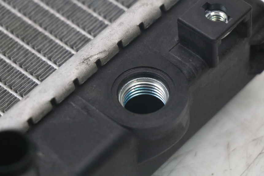 photo de RADIATEUR QUADRO 3D S 350 (2013 - 2018) - Staat van het oppervlak