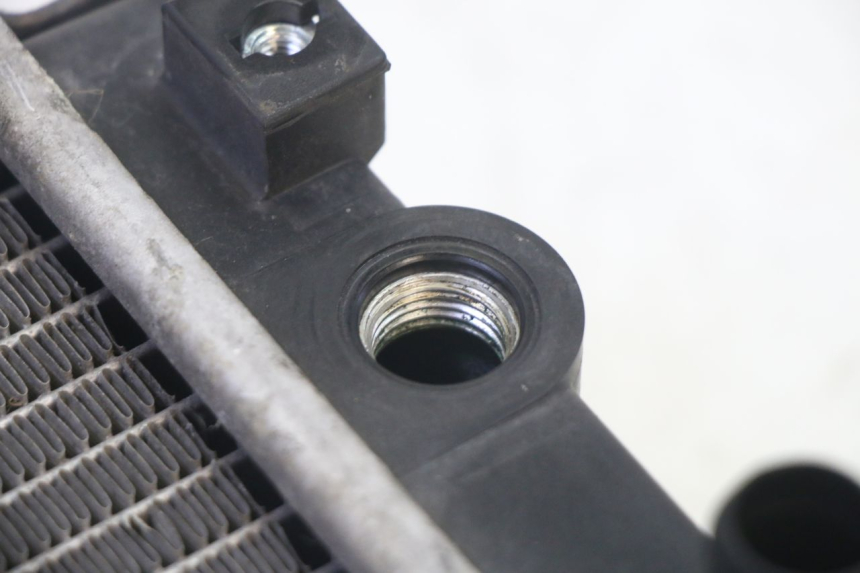 photo de RADIATEUR QUADRO 4 4D 350 (2015 - 2018) - Detail van het onderdeel