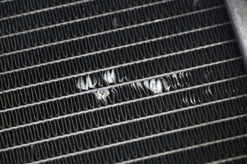 photo de RADIATEUR ADIVA AD3 300 (2014 - 2020) - Detail van het onderdeel