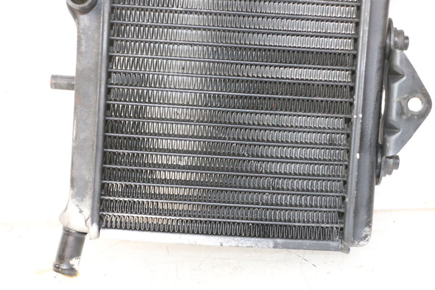 photo de RADIATEUR APRILIA RS 50 (1999 - 2005) - Markeringen en referenties