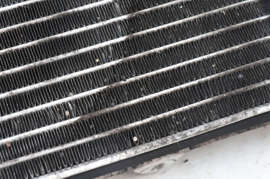 photo de RADIATEUR APRILIA ATLANTIC S 125 (2010 - 2013) - Detailaanzicht