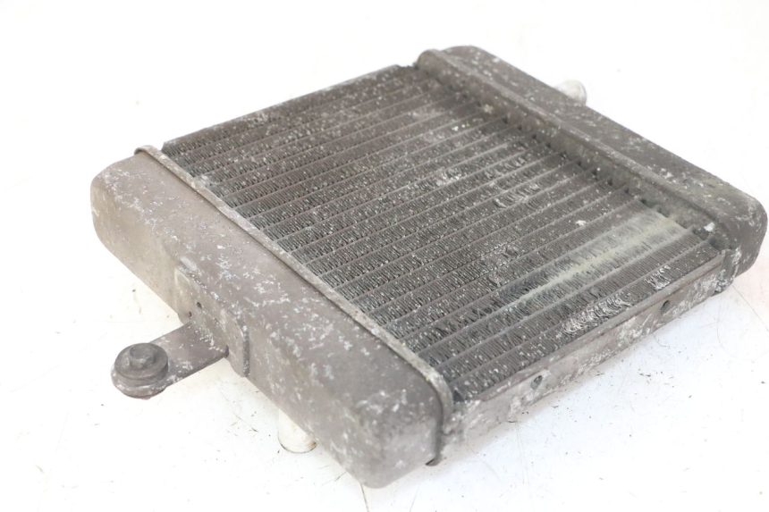 photo de RADIATEUR SUZUKI BURGMAN 125 (2007 - 2014) - Overzicht