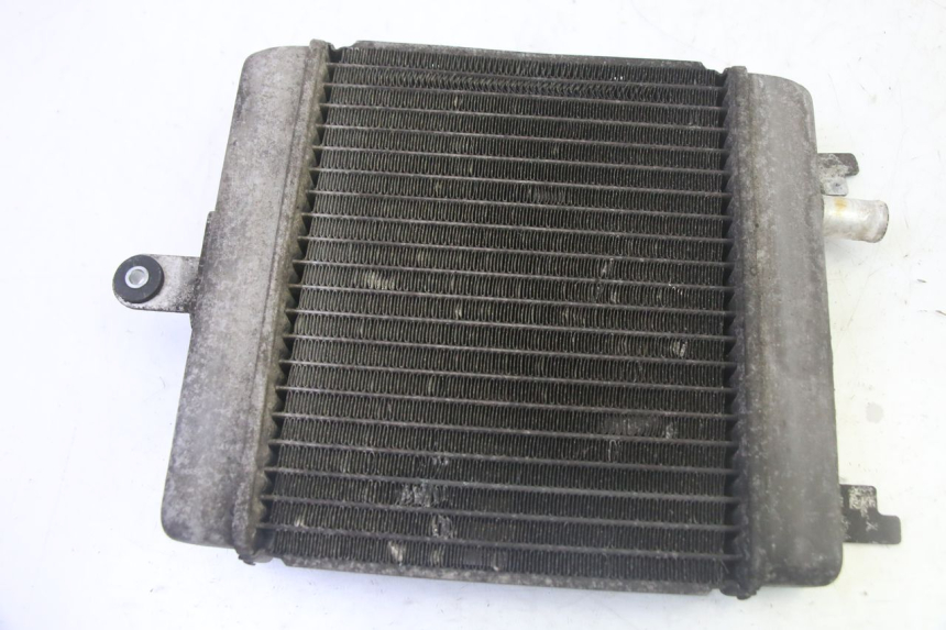 photo de RADIATEUR SUZUKI BURGMAN 125 (2007 - 2014) - Overzicht