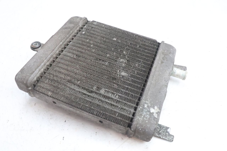 photo de RADIATEUR SUZUKI BURGMAN 125 (2007 - 2014) - Zoom op componenten
