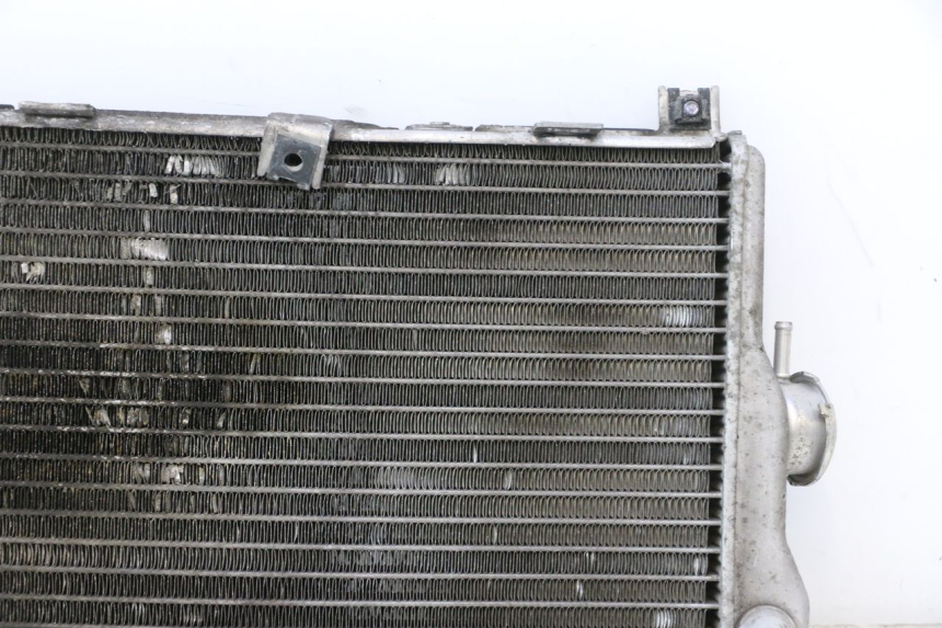 photo de RADIATEUR SUZUKI BURGMAN EXECUTIVE ABS 650 (2006 - 2012) - Kenmerkende details