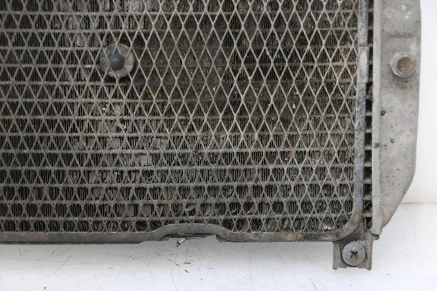 photo de RADIATEUR SUZUKI BURGMAN EXECUTIVE ABS 650 (2006 - 2012) - Focus op structuur