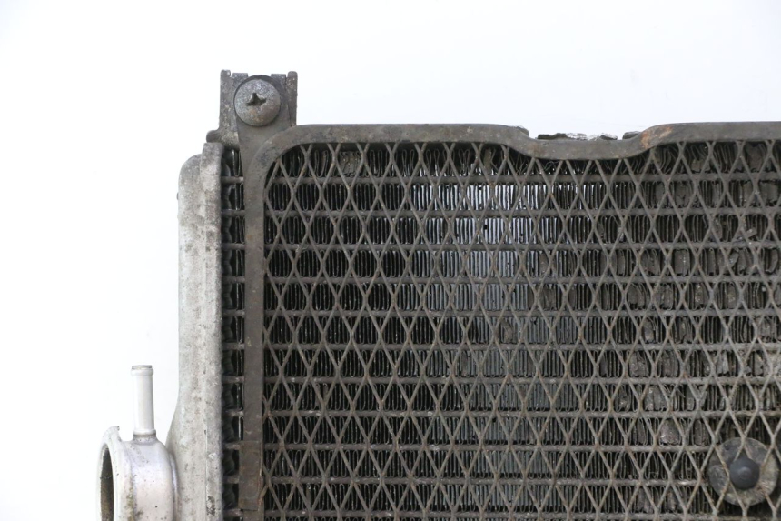 photo de RADIATEUR SUZUKI BURGMAN EXECUTIVE ABS 650 (2006 - 2012) - Zoom op kwaliteit
