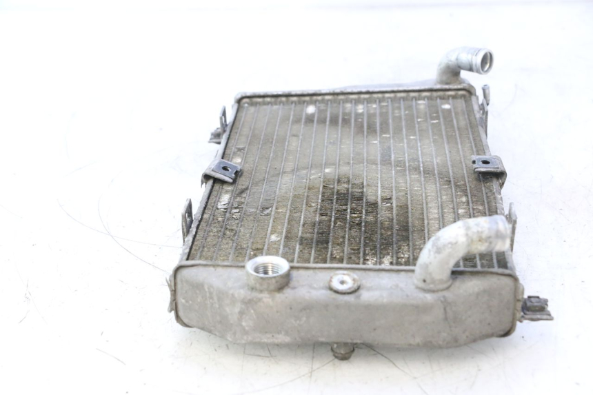 photo de RADIATEUR SUZUKI BURGMAN EXECUTIVE ABS 650 (2006 - 2012) - Staat van het oppervlak