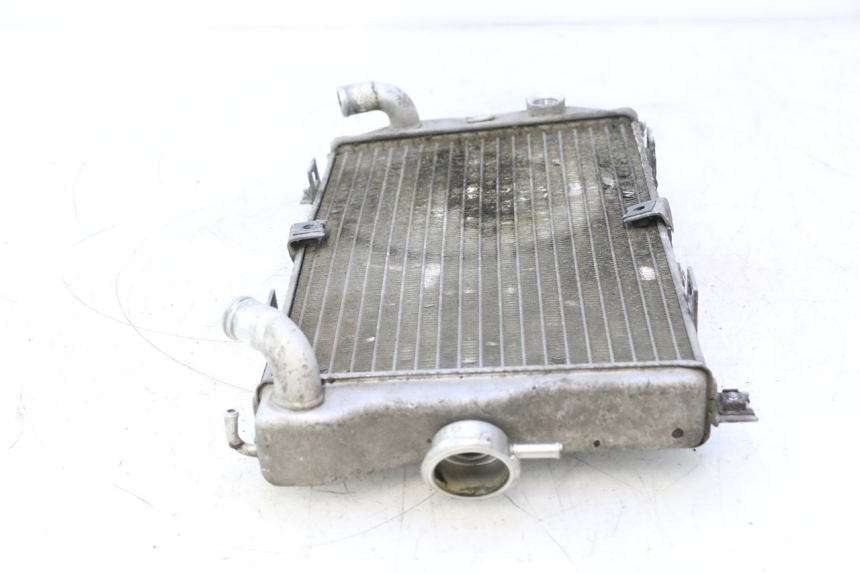 photo de RADIATEUR SUZUKI BURGMAN EXECUTIVE ABS 650 (2006 - 2012) - Markeringen en referenties