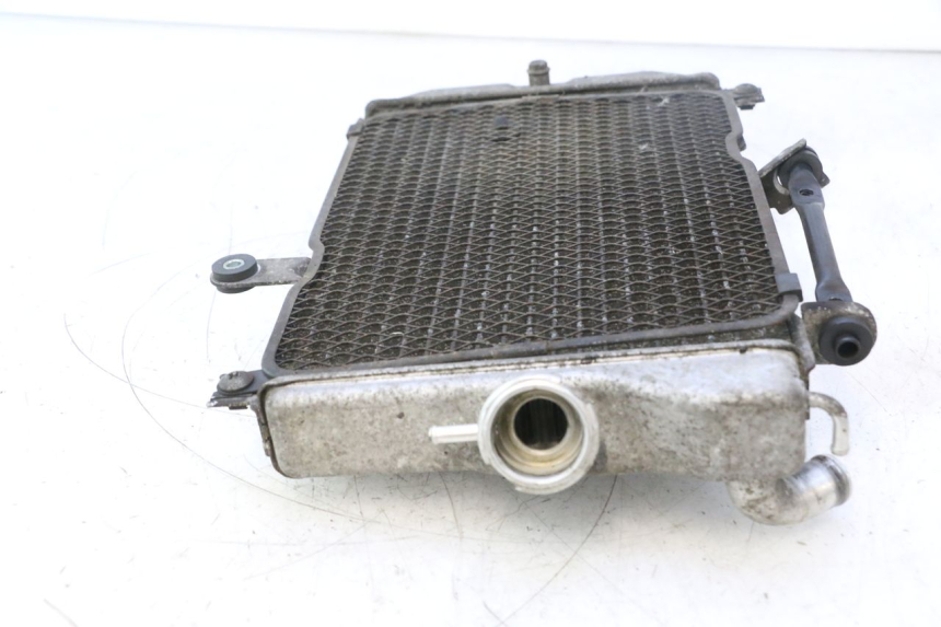 photo de RADIATEUR SUZUKI BURGMAN EXECUTIVE ABS 650 (2006 - 2012) - Productaanzicht