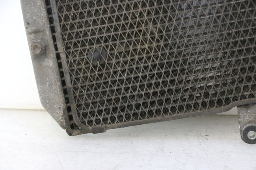 photo de RADIATEUR SUZUKI BURGMAN EXECUTIVE ABS 650 (2006 - 2012) - Zoom op gebruiksstaat