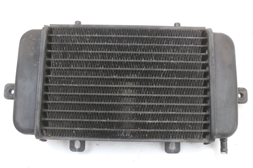 photo de RADIATEUR BMW C1 125 (2000 - 2003) - Detail van het onderdeel