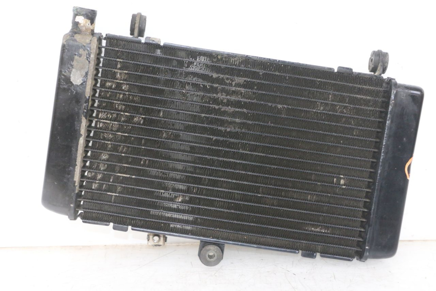 photo de RADIATEUR HONDA CBF 500 (2004 - 2007) - Hoofdaanzicht