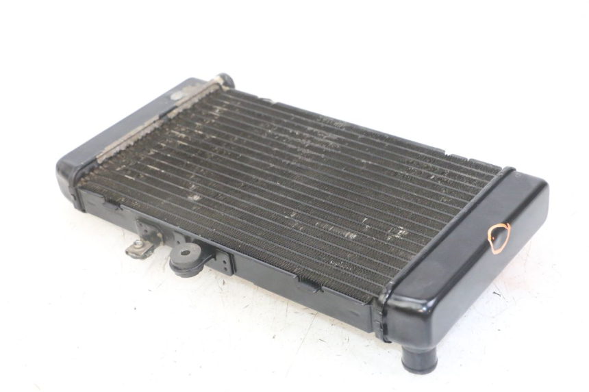 photo de RADIATEUR HONDA CBF 500 (2004 - 2007) - Andere kijkhoek