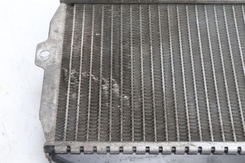 photo de RADIATEUR PEUGEOT CITYSTAR 125 (2011 - 2017) - Zoom op gebruiksstaat