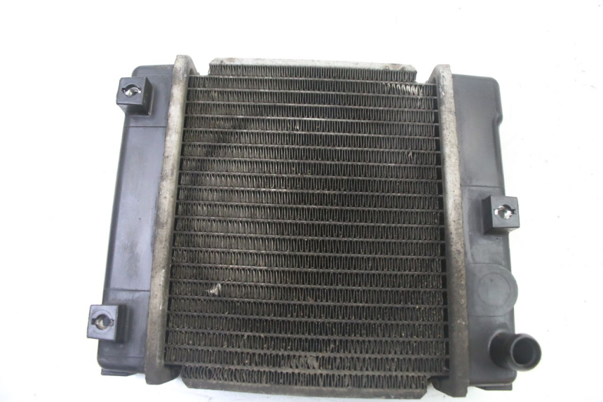 photo de RADIATEUR KYMCO DINK STREET 125 (2009 - 2014) - Hoofdaanzicht