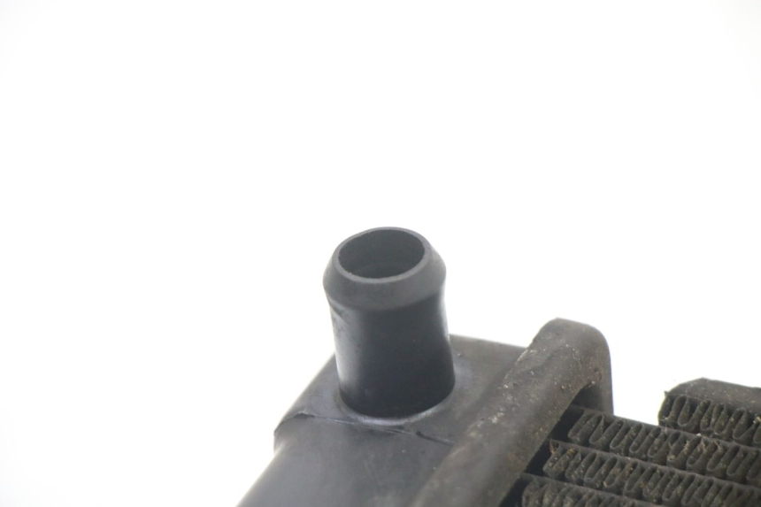 photo de RADIATEUR KYMCO DINK STREET 125 (2009 - 2014) - Overzicht