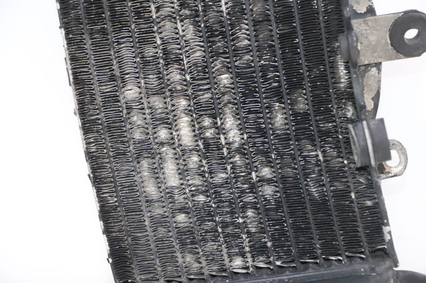 photo de RECHTE RADIATEUR HONDA XRV AFRICA TWIN 750 (1990 - 1992) - Detail van het onderdeel