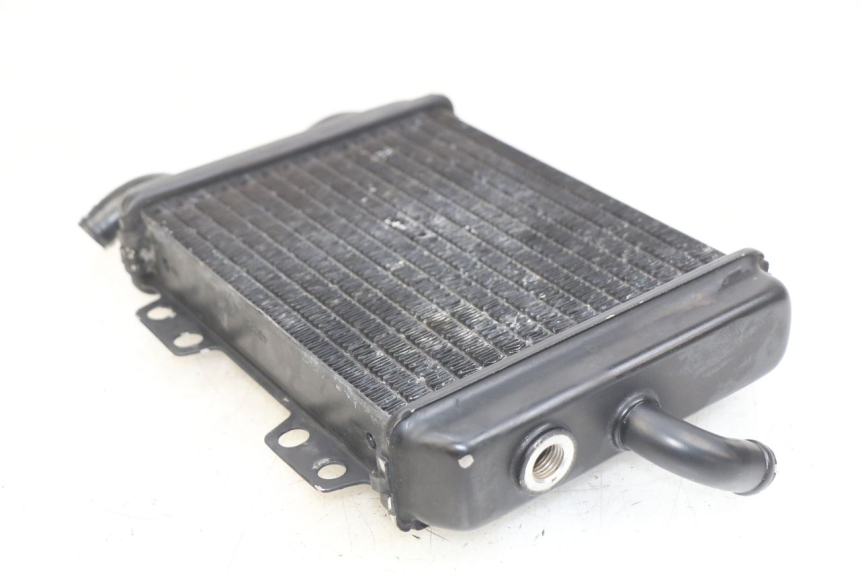 photo de RADIATEUR PEUGEOT ELYSEO 125 (1999 - 2004) - Zoom op gebruiksstaat