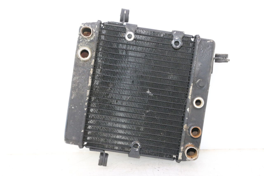photo de RADIATEUR HONDA FES PANTHEON 2T 125 (1998 - 2002) - Hoofdaanzicht
