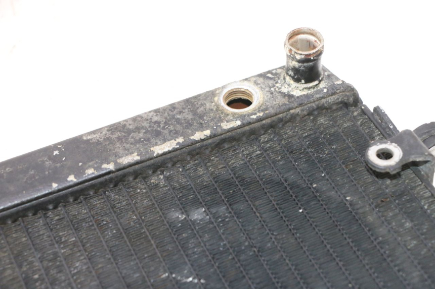 photo de RADIATEUR HONDA FES PANTHEON 2T 125 (1998 - 2002) - Detail van het onderdeel