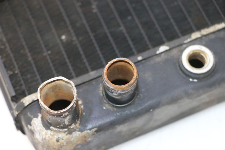 photo de RADIATEUR HONDA FES PANTHEON 2T 125 (1998 - 2002) - Zoom op gebruiksstaat