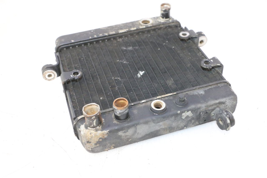 photo de RADIATEUR HONDA FES PANTHEON 2T 125 (1998 - 2002) - Andere kijkhoek